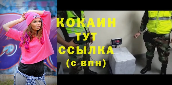 гидра Костерёво