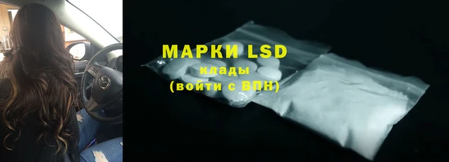 крисы Козловка