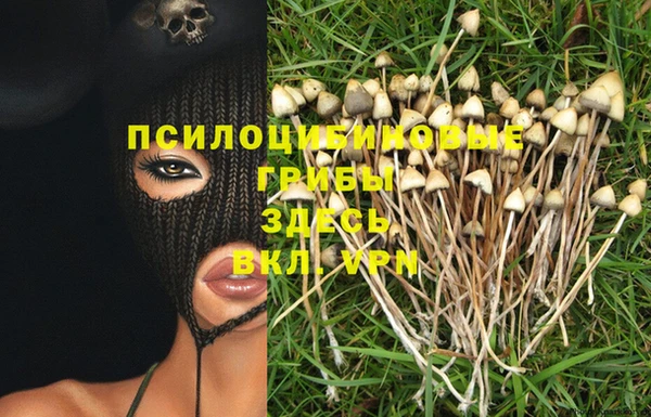 прущие крисы Коряжма