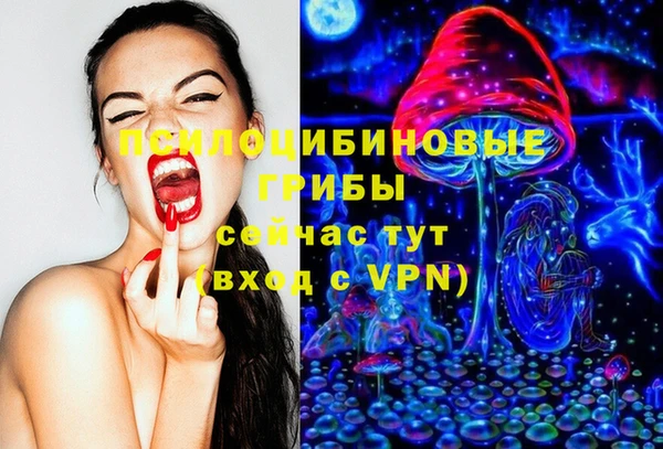a pvp Корсаков