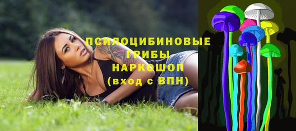 прущие крисы Коряжма