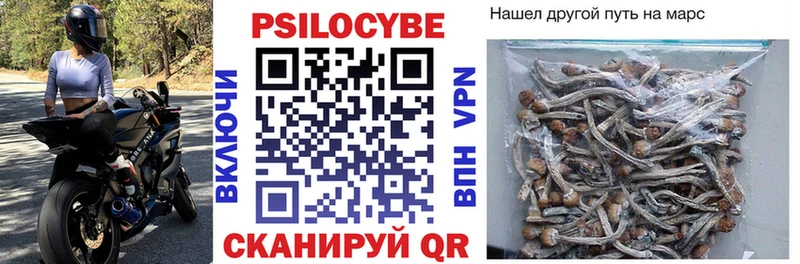 Купить закладки  Руза  Галлюциногенные грибы Cubensis 